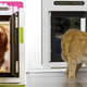 Illustration for article titled A Rain-Detecting Automatic Pet Door That Keeps Them Inside and Dry